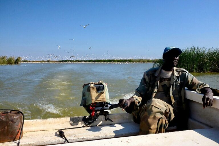 pirogue Djoudj oiseaux