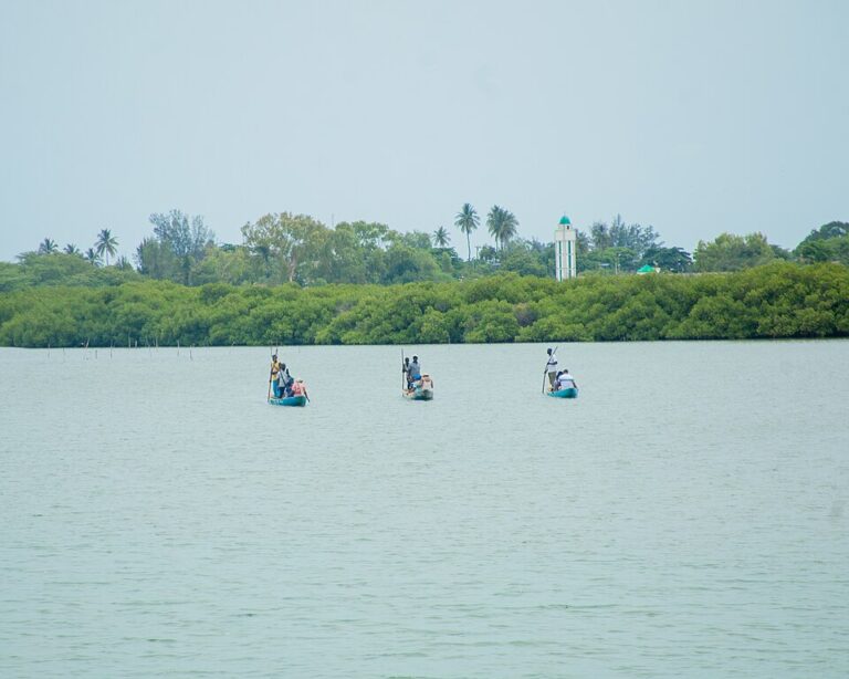 touristes traversant le fleuve dans des pirogues